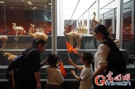 博物館設計-博物館備案數量由4692家增至5535家插圖