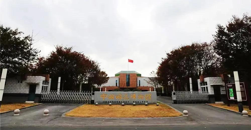 巖星特刊 | 在熱點之后，我們來看看這一座博物館插圖(1)