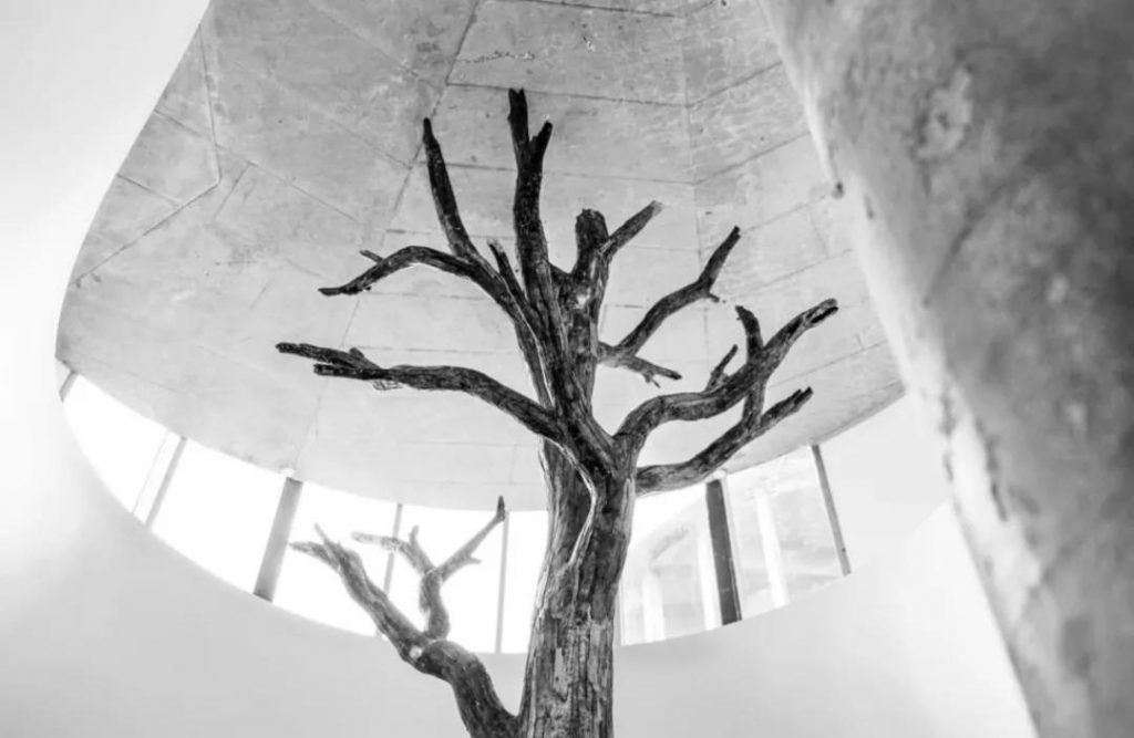 隈研吾設計安徒生博物館開幕，重新演繹丹麥童話插圖(30)