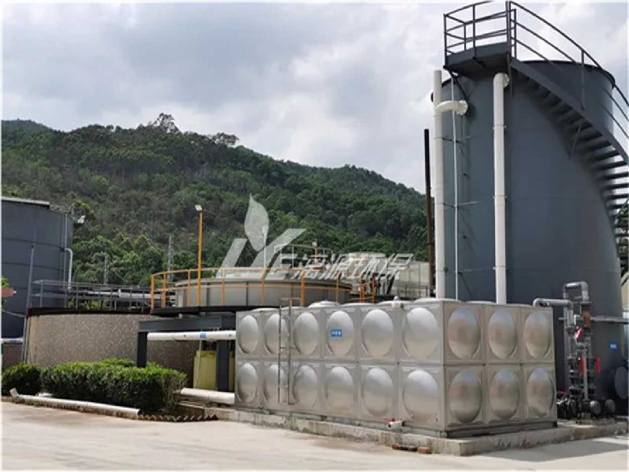 圓滿收官！巖星精彩亮相粵港澳大灣區老字號（文化）博覽會插圖(1)